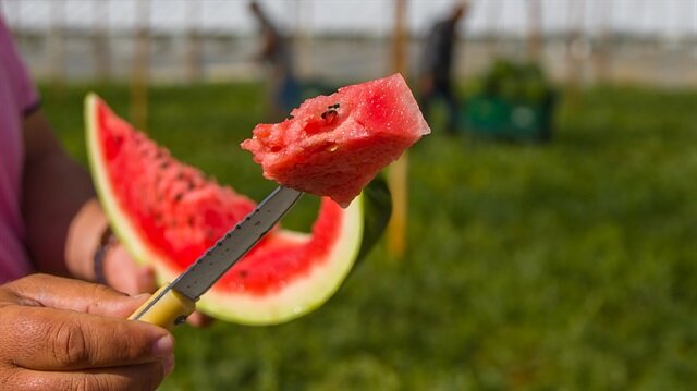 Aman dikkat! Karpuzu böyle yemek hastalık saçıyor! 7