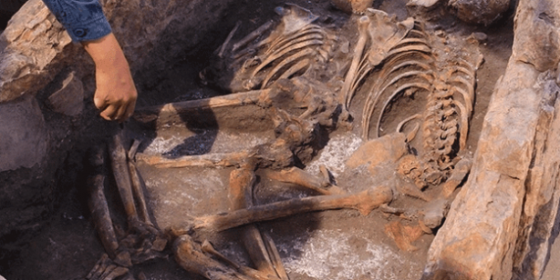 Sadece 1 tane beklerken… Kazı yapan Fransızlar şoke oldu 1