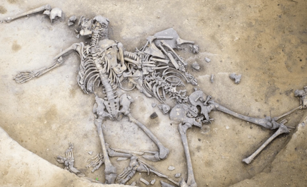 Sadece 1 tane beklerken… Kazı yapan Fransızlar şoke oldu 7