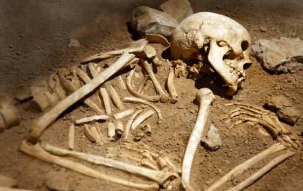 Sadece 1 tane beklerken… Kazı yapan Fransızlar şoke oldu 6