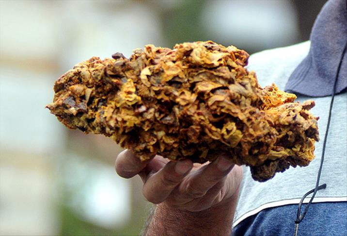 Kolajen haplarını piyasadan silecek en güçlü kaynak oymuş! İnce kırışıklıklara bile meydan okuyor 16