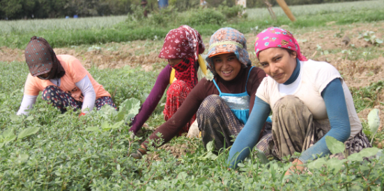 Vatandaşlık maaşı geliyor! 5