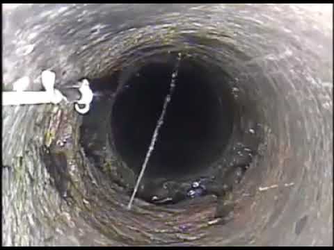 Zemzemi mikroskopta inceleyen genetik mühendisi şaşkına döndü 4