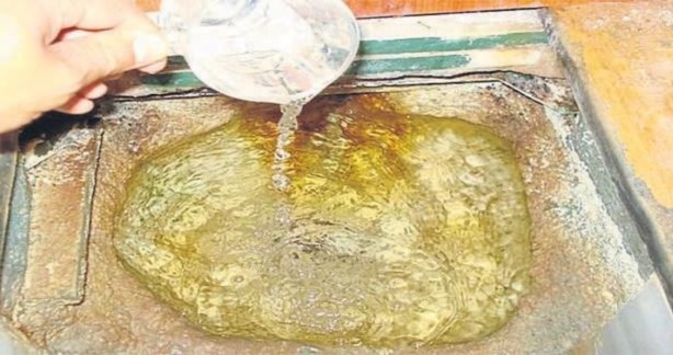 Zemzemi mikroskopta inceleyen genetik mühendisi şaşkına döndü 3