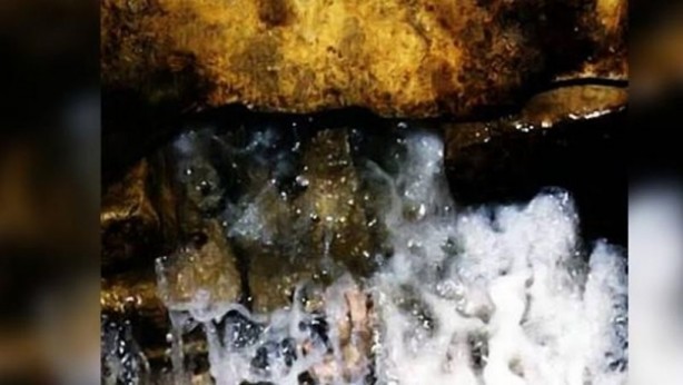 Zemzemi mikroskopta inceleyen genetik mühendisi şaşkına döndü 1