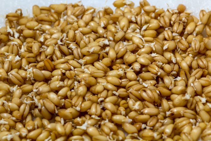 Direkt kanser hücrelerini hedef alıyor! Gizli kalmış şifa kaynağı: Meğer tüm bedenin yenileyicisiymiş... 17