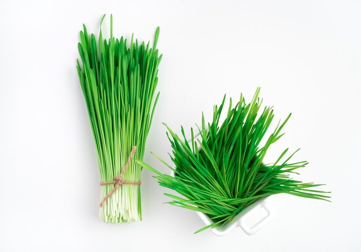 Direkt kanser hücrelerini hedef alıyor! Gizli kalmış şifa kaynağı: Meğer tüm bedenin yenileyicisiymiş... 13