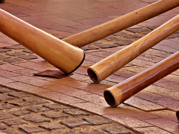 Dünyanın en sağlıklı enstrümanı! Bu aleti çalmak birçok hastalığı da tedavi ediyor… 3