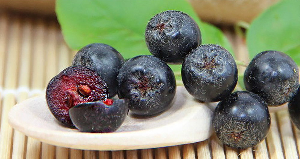 Canan Karatay herkesi uyardı! 'Bu meyvelerden uzak durun' 9