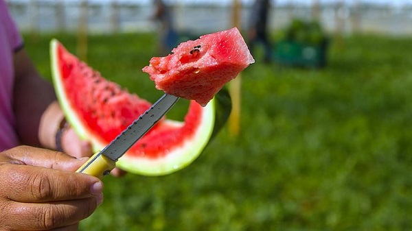 Canan Karatay herkesi uyardı! 'Bu meyvelerden uzak durun' 6