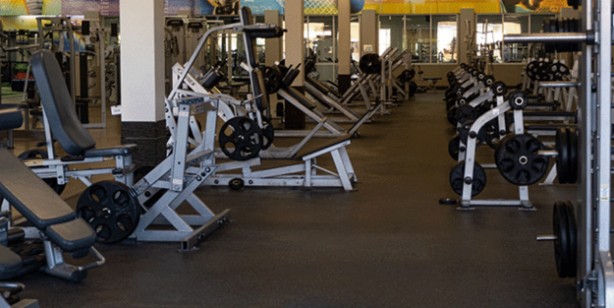 Canan Karatay'dan 'Şaşırtan' spor salonu uyarısı: Öyle şeyler söyledi ki gerçek ortaya çıktı! 2