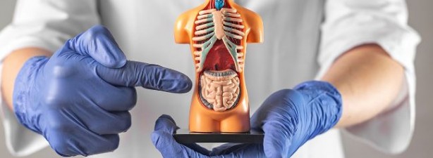 En erken evre kanser belirtileri açıklandı! Zamanlama hayat kurtarıyor 6