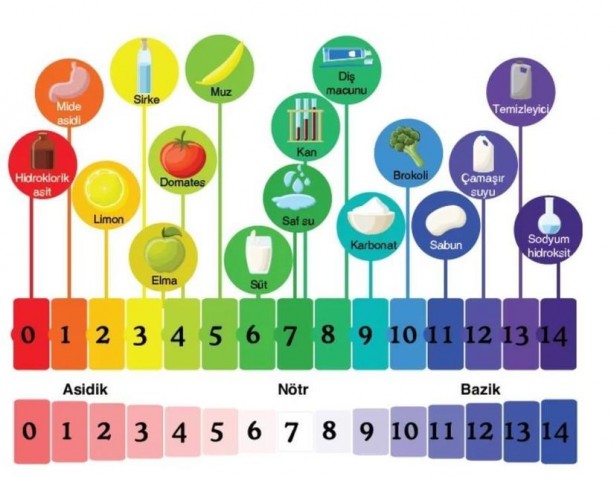 Gerçek bal neden bozulmaz? İşte o müthiş özellik 7