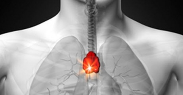 ‘İşe yaramaz’ diye ameliyatla alınan bu organın meğer çok önemli görevi varmış! 2