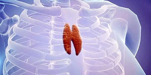 ‘İşe yaramaz’ diye ameliyatla alınan bu organın meğer çok önemli görevi varmış! 4