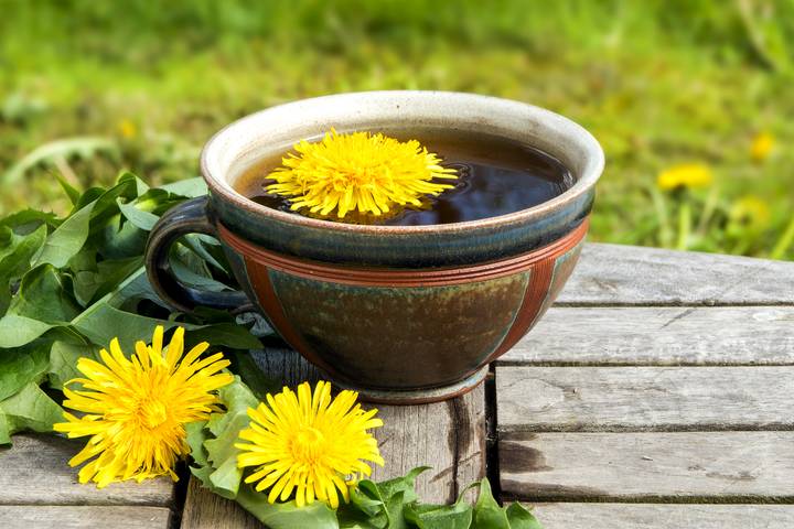 İbn-i Sina şeker hastalığı tedavisinde kullandı! İşte ’Karahindiba’nın faydaları dikkat çekiyor! Bunu yapın 6