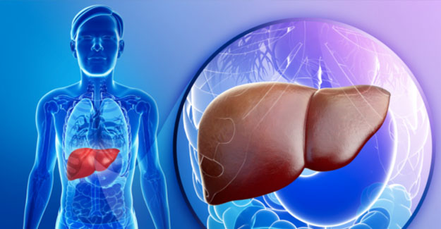 Karaciğerinizin zehir dolu olduğunu gösteren işaret! Gün içinde bu sorunu yaşıyorsanız... 3