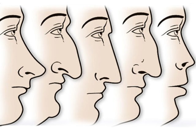 Burun şekline göre kişilik testi! Tek soruda tüm karakter özellikleriniz çıkıyor 1