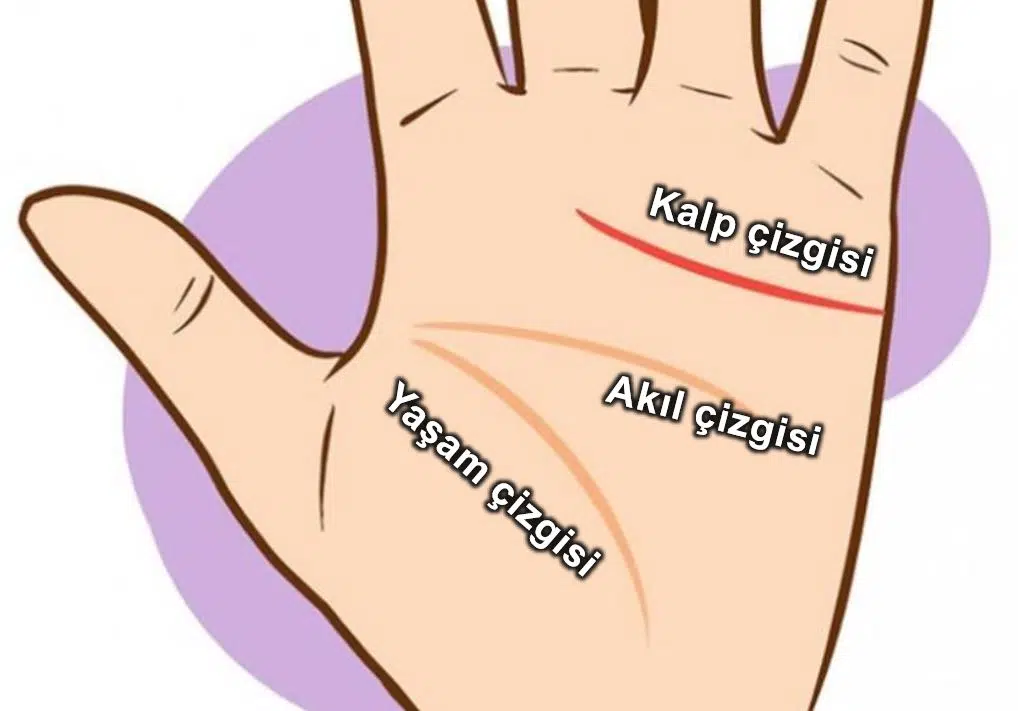 Avuç içine göre kişilik testi! Sağ elinizden nasıl bir insan olduğunuz anlaşılıyor 2