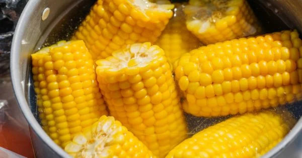 Bilenler, bir damlasını bile dökmüyor! Haşlanmış mısırın suyu tam bir şifa deposu çıktı! 8