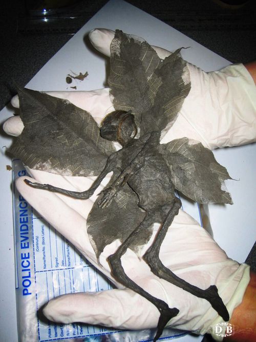 'Peri cesedi buldum' deyince yer yerinden oynadı! 'Toprağa ver, yoksa kötü olur' 8