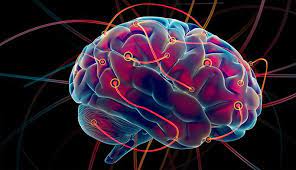 Dünyanın en zeki ülkeleri açıklandı! Bakın Türkiye kaçıncı sırada 7