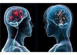 Dünyanın en zeki ülkeleri açıklandı! Bakın Türkiye kaçıncı sırada 5