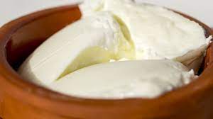 Yoğurt gerçeği: Türkler karıncayla mayaladı! 'Sütten yapıldı ama sütten daha faydalı' 9