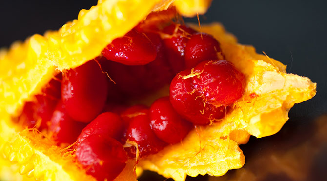 Görüp de almayan bin pişman! Adı gibi kudretli; Bir tek ölüme çaresi yok... 6