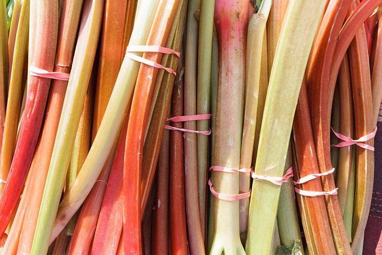 Aman dikkat! Çok sağlıklı diye bol bol tüketiliyor ama dikkatli olunmazsa öldürücü oluyor 8