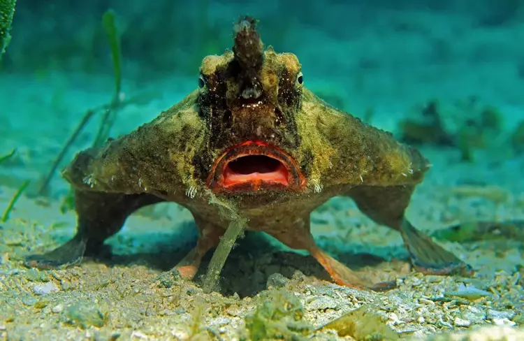 'Yaşayan kaya' olarak biliniyor, o ülkede ortaya çıktı! Bilim insanlarını da şaşkına çevirdi... 4