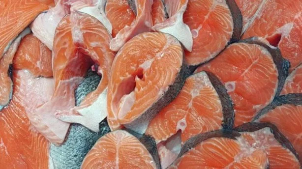 Canan Karatay'dan bayat balığı anlamanın tüyoları! Suda bekletince ortaya çıkıyor 11