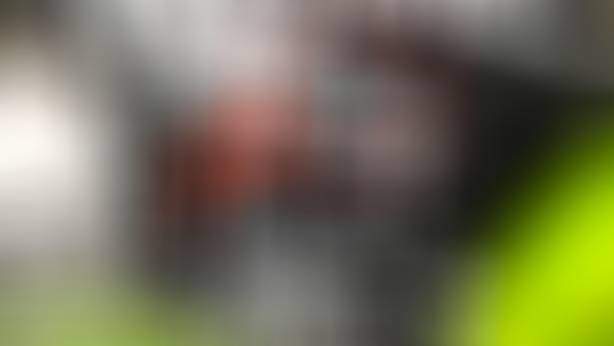 Ejderhalar sadece efsane değilmiş! Yıllar sonra ortaya çıktı! Sadece o bölgede bulunuyor 1