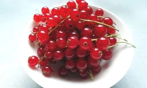 Damarları bir haftada temizliyor! Bilim insanları açıkladı: "Yiyen 10 yaş gençleşiyor!" 11