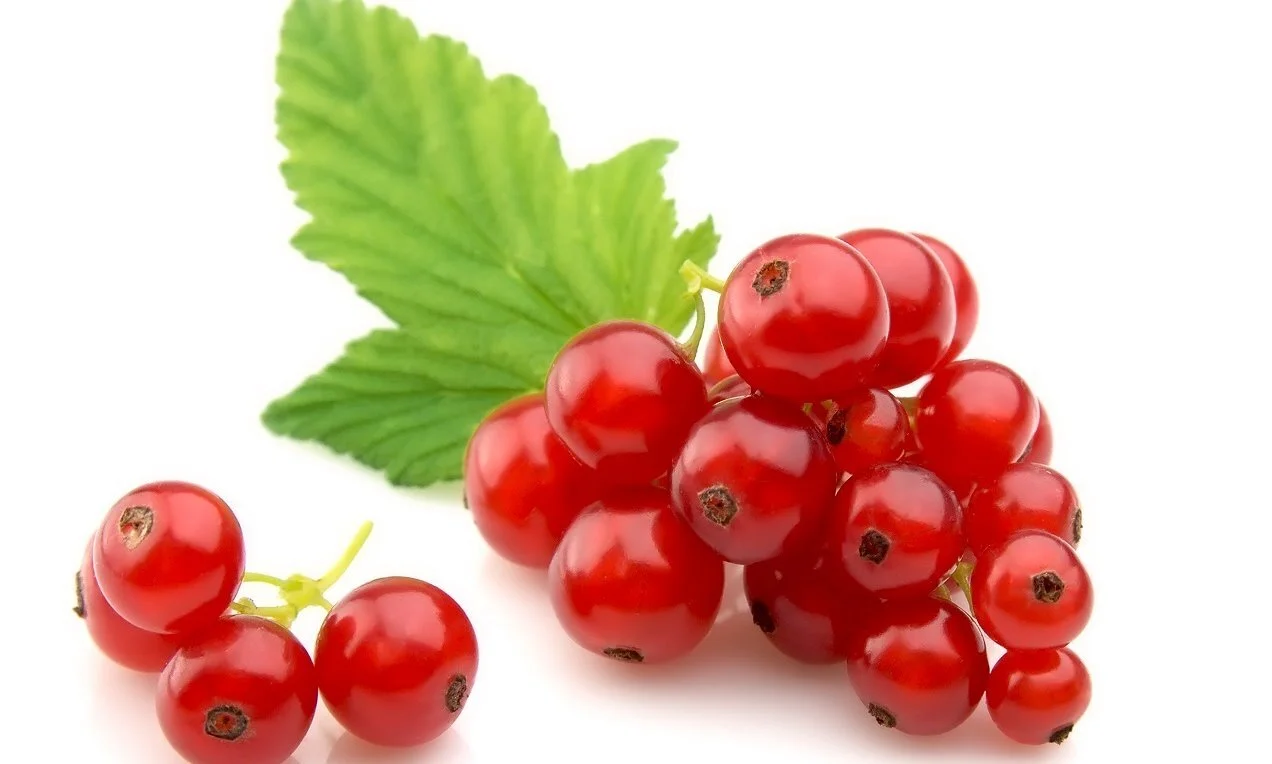 Damarları bir haftada temizliyor! Bilim insanları açıkladı: "Yiyen 10 yaş gençleşiyor!" 9