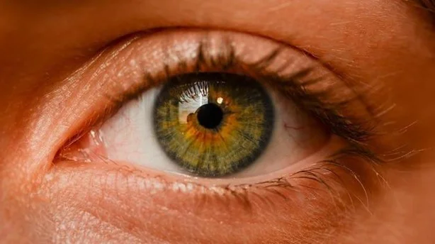 Haftada en az iki öğün balık tüketince bakın ne oluyor 1