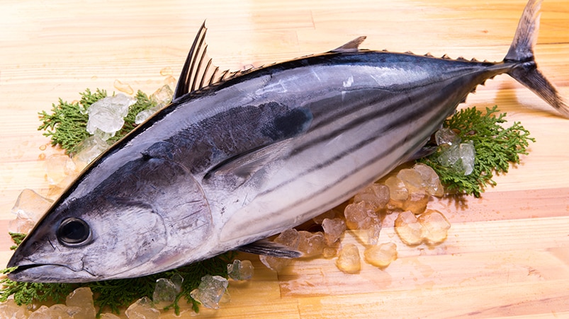 Tam mevsimi! Bu balığı tüketen kolesterol nedir bilmiyor, demir, magnezyum ve D vitamini deposu 9