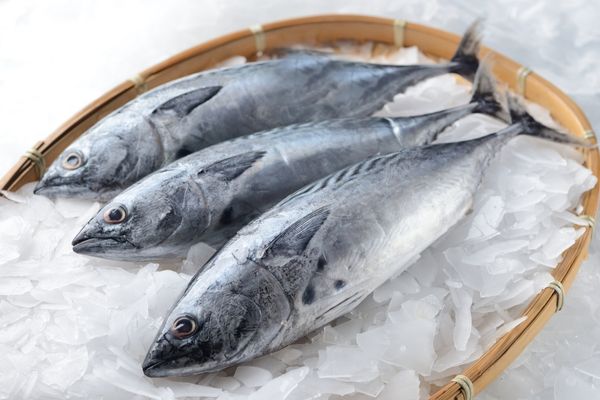 Tam mevsimi! Bu balığı tüketen kolesterol nedir bilmiyor, demir, magnezyum ve D vitamini deposu 8