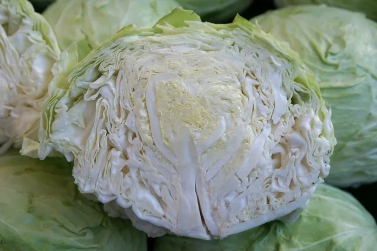 2 ay boyunca tüketirseniz uyuyan kanser hücrelerini öldürüyor! Bu besin kanserin en güçlü savaşçısı olarak biliniyor 12