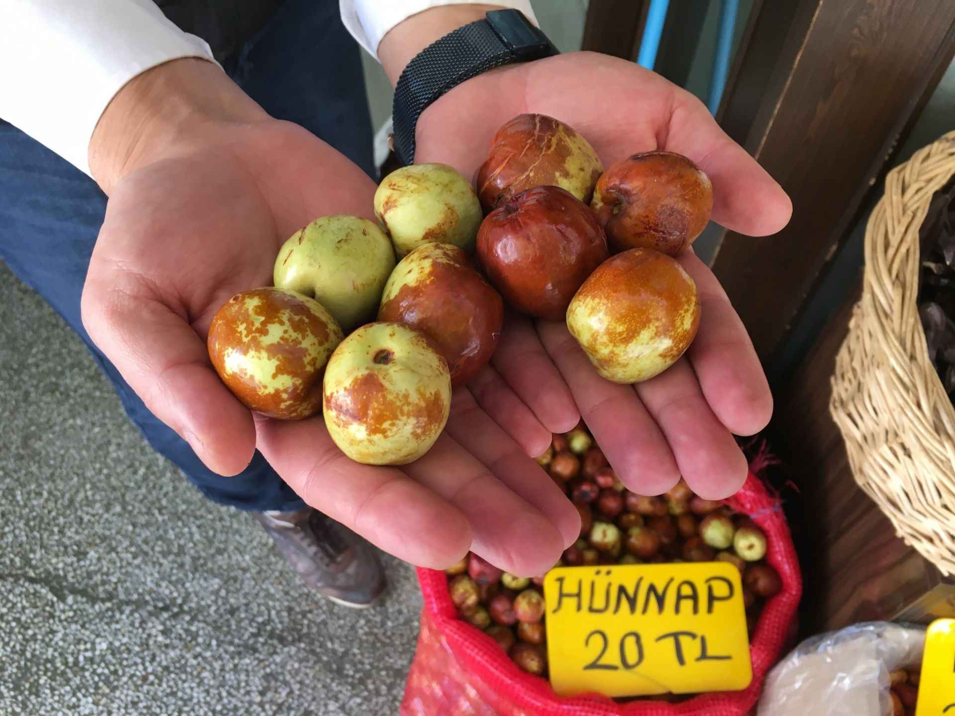 Öyle bir faydası çıktı ki... Bu şeyin bir kaşığının bile yararı saymakla bitmiyor 8