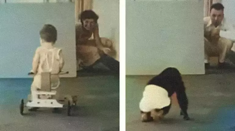 9 ay şempanzeyle kardeşi gibi yaşadı! İkisinin de sonu çok acı oldu! Bu kadar da olmaz 2