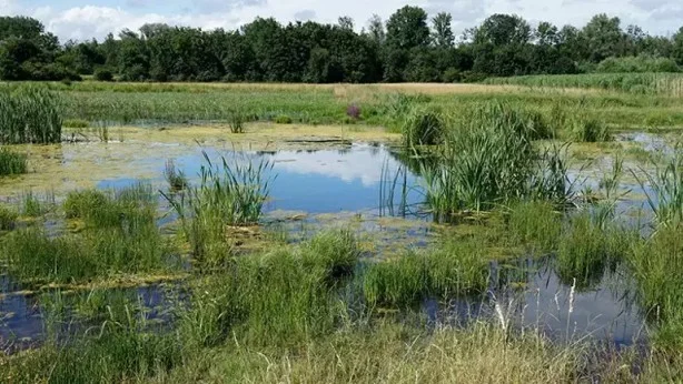 Binlerce yıllık gizem çözüldü! Bütün dünya şaşkın! Tamı tamına 2 bin ceset var 2