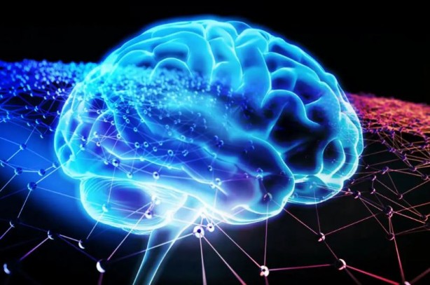 Bu yiyecekler beyin sağlığınızı mahvediyor 11