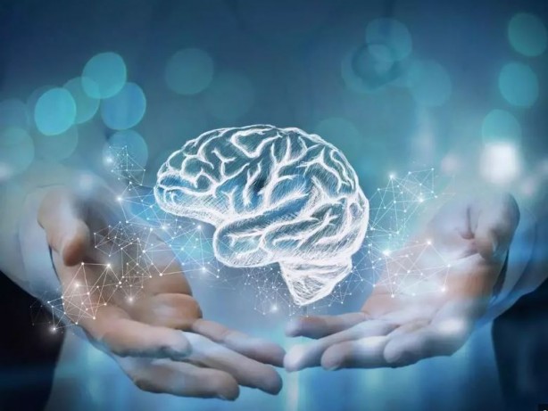 Bu yiyecekler beyin sağlığınızı mahvediyor 4