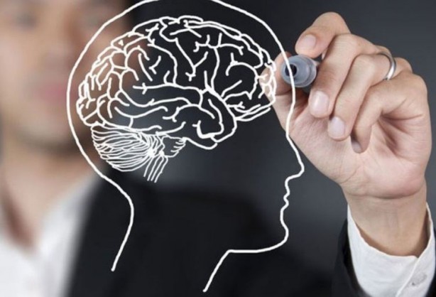 Bu yiyecekler beyin sağlığınızı mahvediyor 9