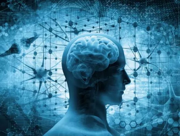 Bu yiyecekler beyin sağlığınızı mahvediyor 1