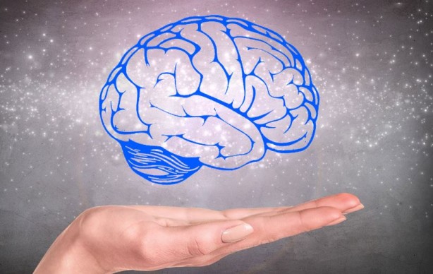 Bu yiyecekler beyin sağlığınızı mahvediyor 10