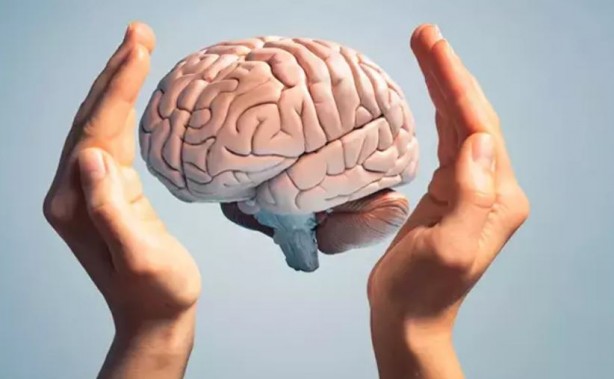 Bu yiyecekler beyin sağlığınızı mahvediyor 7