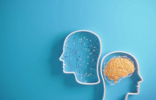 Bu yiyecekler beyin sağlığınızı mahvediyor 8