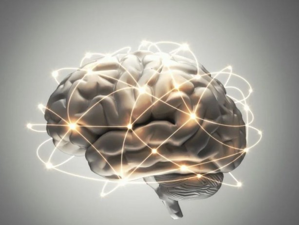 Bu yiyecekler beyin sağlığınızı mahvediyor 5